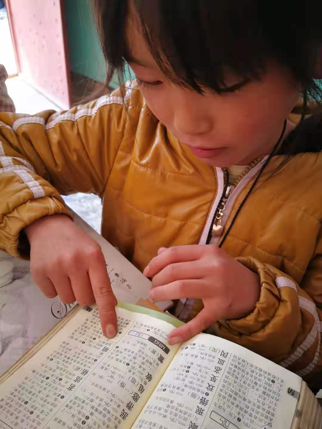 碰到不认识的字查查字典